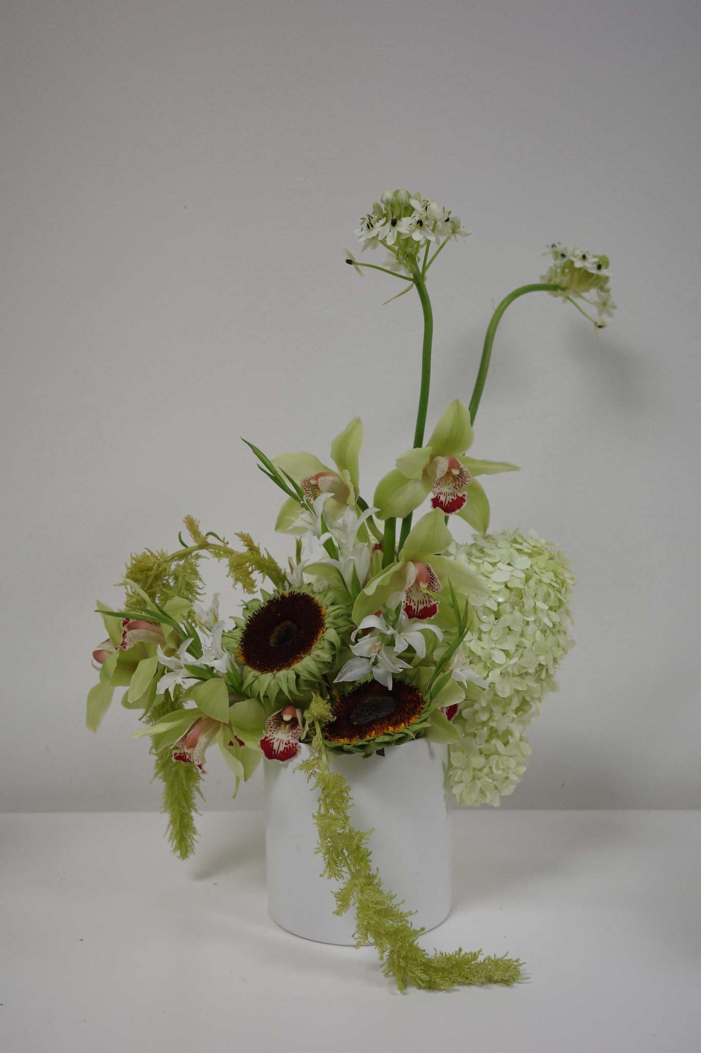 Flowers – FIELD