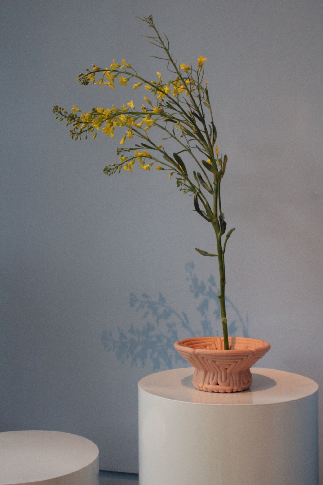 Sakura Vessel 3