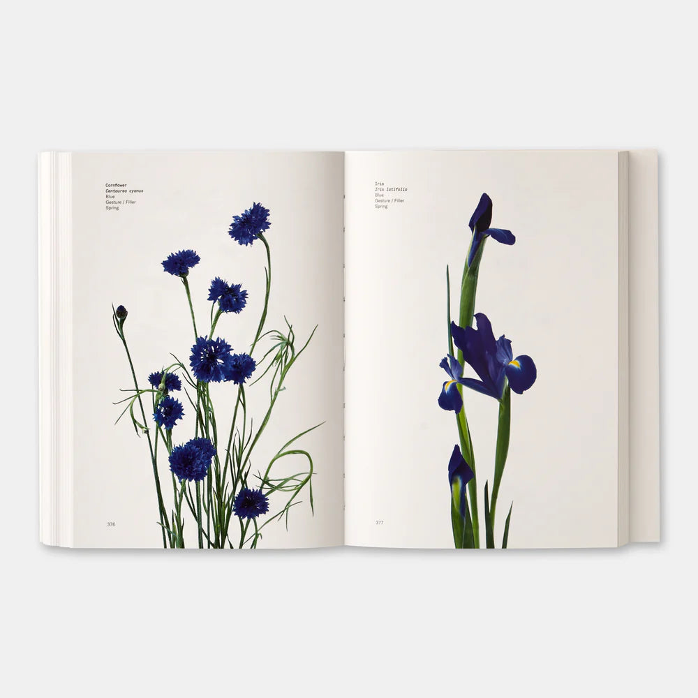Flower Color Guide – FIELD