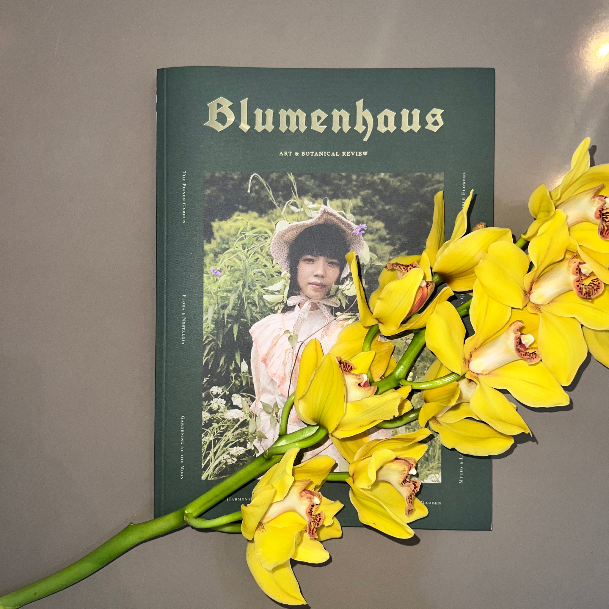 Blumenhaus – FIELD Blumenhaus – FIELD